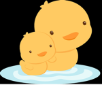 duckyteam1
