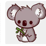 Koala fans forever