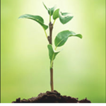 Nutrient spreaders