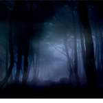 -Mysterious Shadows-
