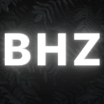 BHZ Merch Testing Area