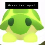 green teas squad