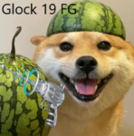 Glock19 FG