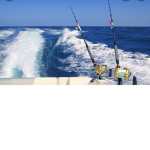 Offshore Fishing