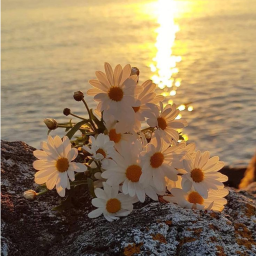 ୨💐୧