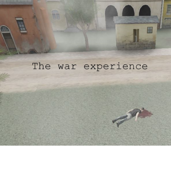 The war experience [BETA]