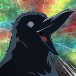 squawking crow