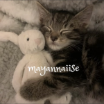 mayannaiise
