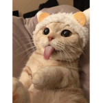 Softiiebynn