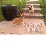 internet best friends ♡