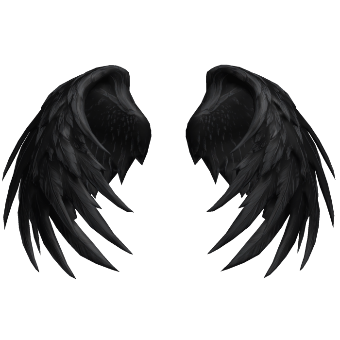 Black Viligant Angel Wings