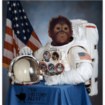 Annihilation Space Monkeyz
