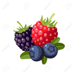 Berry squad tt