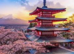 Blossom tree nation