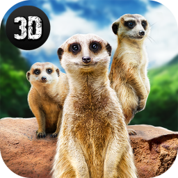 Meerkat Simulator