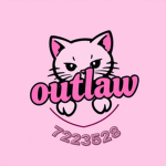 彡 Outlaw