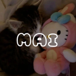 MAI