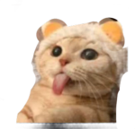 Yw guys it’s for u