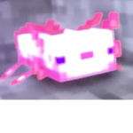 Cute little Axolotl