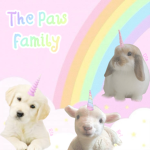 paw family ⊹
