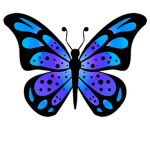 Shy butterfly