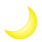 .+*Moonlights Group*+.