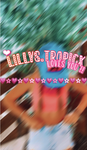 lillys tropic