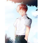 ~Todoroki Fan~