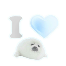かわいいアザラシ