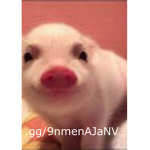 Abz Da Hood Cash
