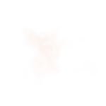 ֶָ֢