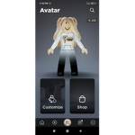 Fan roblox gaming