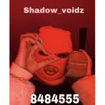 Shadow_voidz
