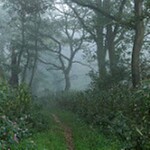 in the making of a store**