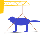 Bluedog Construction