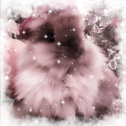 ✧.*