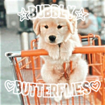 • Bubbly Butterflies •