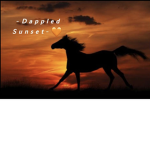 ~Dappled Sunset Riding Academy~