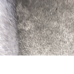 RobuxTradeH