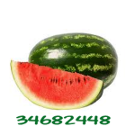 な watermelon