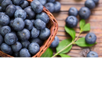 MyBlueberryCuties