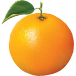 The Orange Network