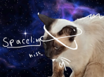 .-Spaceling-.