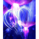 •~Omaticaya~•~clan~•