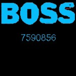 Boss group gang