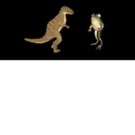 love FROGS for life