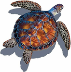 Oceanic wonders