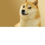 Doge to the moon