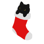 Cat in a Christmas Stocking