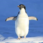Nombre UwU